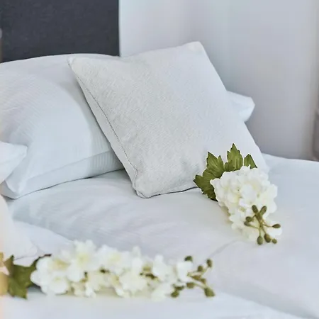 Apartment Bajana By Renters